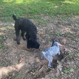 Meet your Posher, Jean